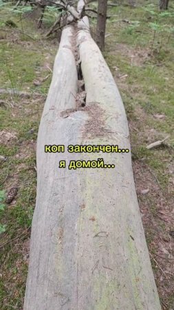 тяжело в лесу бывает...