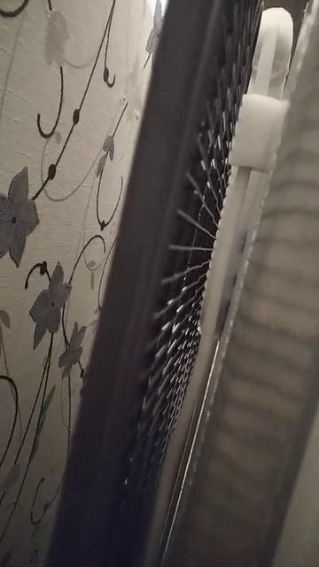 Здравствуйте. Морозильник Атлант 7184-003 новый. Морозиль смотреть онлайн