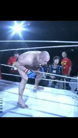 Лучшие нокауты Подпишись и ставь лайк #ufc #mma #youtube #sports #tiktok #shortsvideo #russia #box