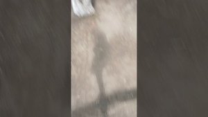 Обзор на площадку