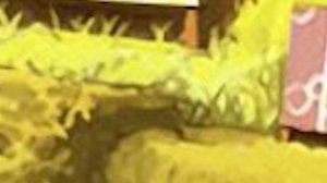 [С Приветом По Свету #1] Знакомьтесь, Иза-Завррр! Злодей?