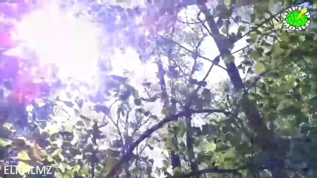 10 НЕОЖИДАННЫХ НАХОДОК