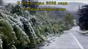 В конце мая 2025 года в Сибири выпал снег