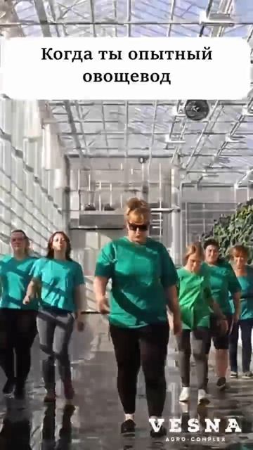 Опытный овощевод #shorts смотреть онлайн