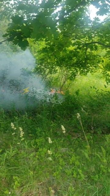 🔥 Возгорание произошло в Винновской роще