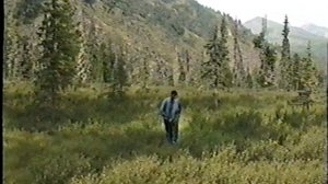 Ярминские озера 2003 клипы