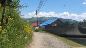 Движение - жизнь!