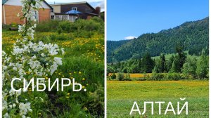Дети едут с АЛТАЯ .Ждём тепла в СИБИРИ.