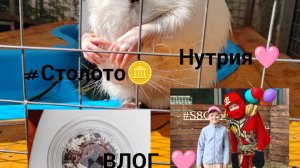ВЛОГ: #Столото🪙, Нутрия🩷, собачки 🐶, пирожинка🍰, 01.06. — ЛЕТО☀️, экскурсия🏛️
