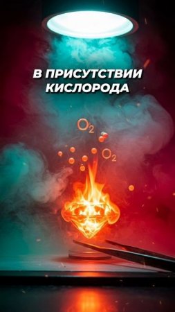 Ты думаешь, что алмазы вечны и не горят_ Ошибаешься!