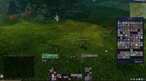 Коллекция "Покоритель небес" | Archeage