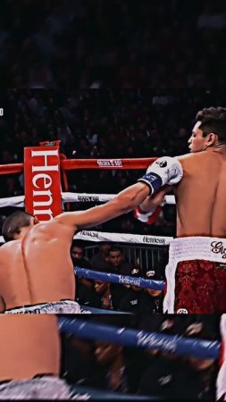 Лучшие нокауты Подпишись и ставь лайк #ufc #mma #youtube #sports #tiktok #shortsvideo #russia #box