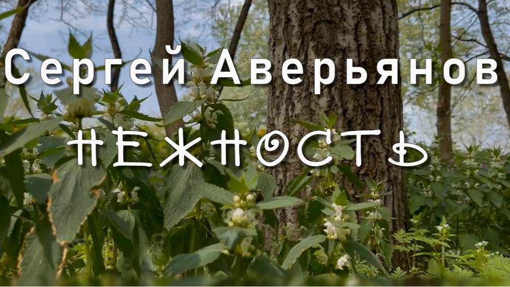 Сергей Аверьянов,  Нежность, посвящение Майе Кристалинской. Музыка для души