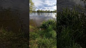 Невозможно ловить в Захарково