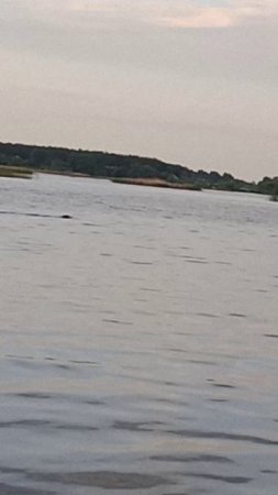 VID_20250601_194346.mp4