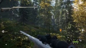 «Оружие и боеприпасы» часть вторая, The Hunter Call of the Wild, Ох