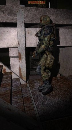 Находка для травматолога. Stalker. #shorts