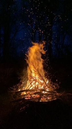 Шучу о персиках