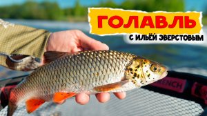 Ловля ГОЛАВЛЯ с Ильей Эверстовым