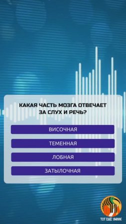 Какая часть мозга отвечает за слух и речь?