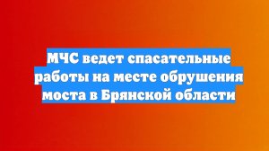 МЧС ведет спасательные работы на месте обрушения моста в Брянской области