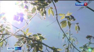 Вести-Томск, выпуск от 31.05.2025 14:30