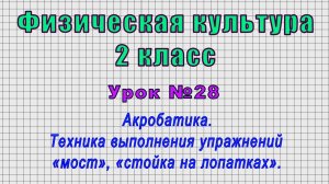 Физическая культура 2 класс (Урок№28 - Акробатика. Упражнения «мост», «стойка на лопатках».)