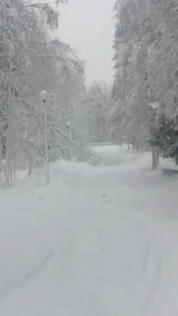Ураган СНЕГОПАД ветер весна май #Ураган #СНЕГОПАД #ветер #весна #май #слава10rus