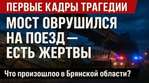 Первые кадры с места обрушившегося моста на пассажирский поезд в Брянской области