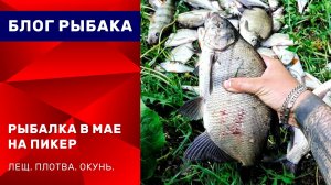 Рыбалка ПИКЕРОМ на леща l ОКУНЬ не даёт покоя l рыбалка в Подмосковье