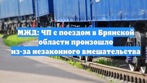 МЖД: ЧП с поездом в Брянской области произошло из-за незаконного вмешательства