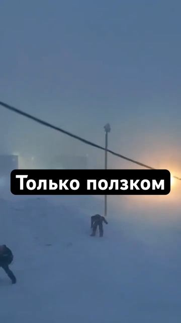 Сегодня лучше быть дома, по возможности. #норильск смотреть онлайн