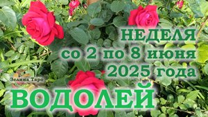 ВОДОЛЕЙ | ТАРО прогноз на неделю со 2 по 8 июня 2025 года