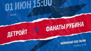 Детройт-Фанаты Рубина