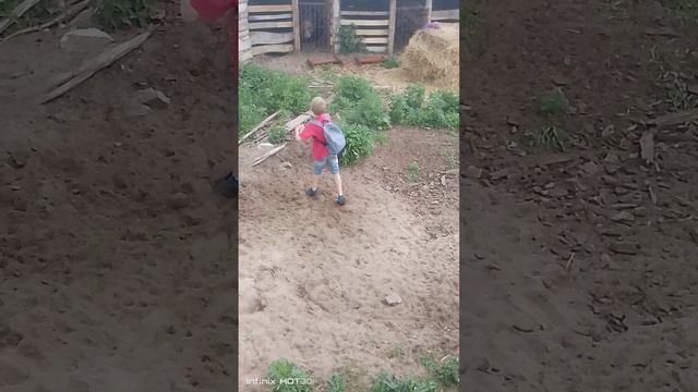 приключения