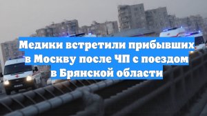 Медики встретили прибывших в Москву после ЧП с поездом в Брянской области