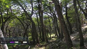 40 NATURE SCENES in 4K + Bach Classical Music: "NatureScapes" 1 HR Relaxation Vid