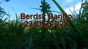 Berdsk Bando 23.05.2025