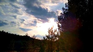 Поль Мориа. Мама. Ностальгия. Paul Mauriat. Mom. Nostalgia.