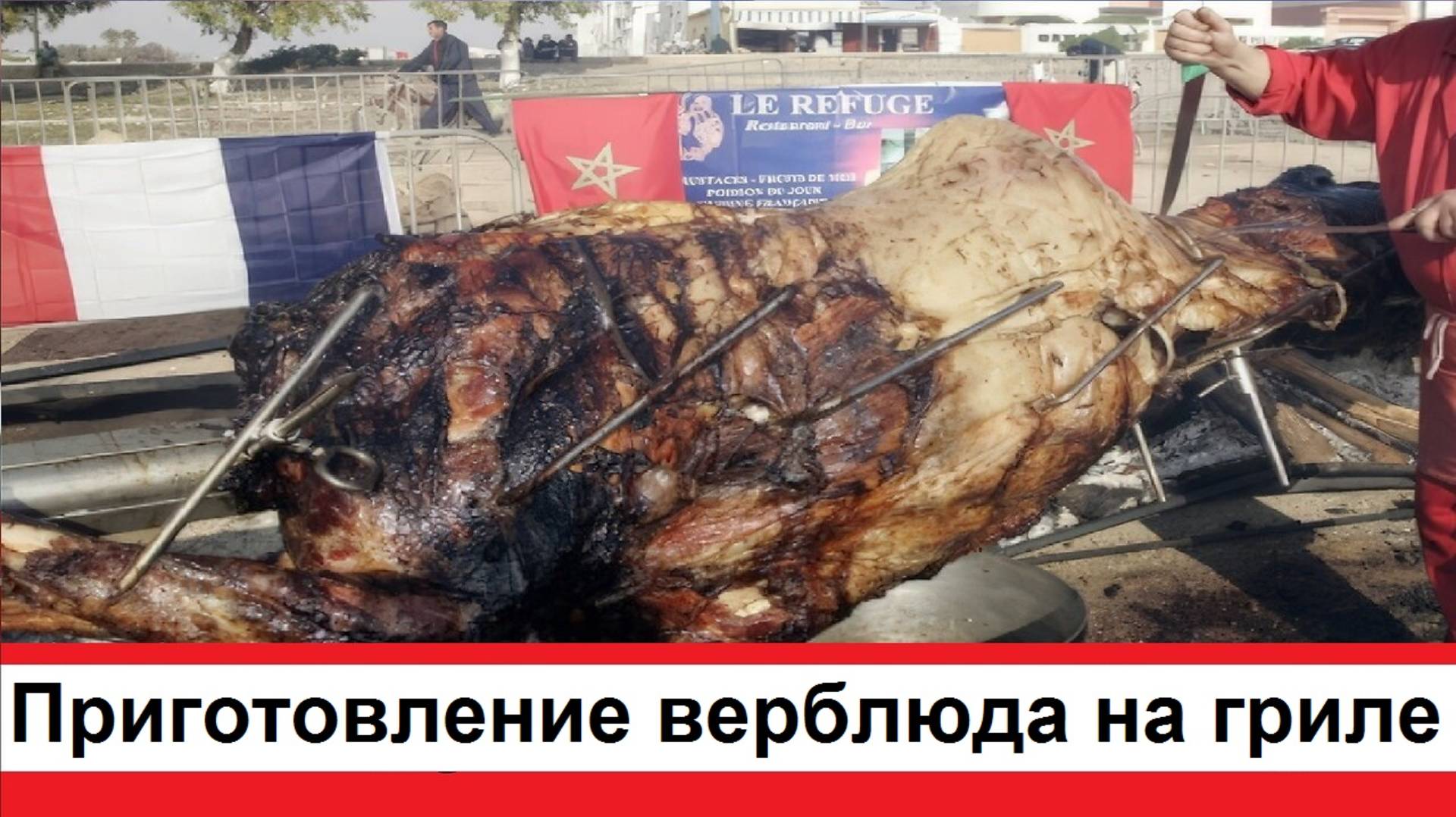 Запеченный верблюд приготовили верблюда на костре гриль