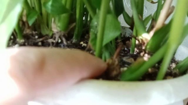 Групповая посадка.