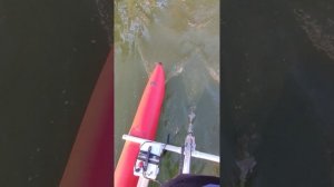Водный велосипед и электро плавник для САП. Электрове