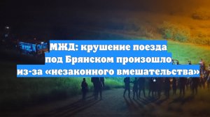 МЖД: крушение поезда под Брянском произошло из-за «незаконного вмешательства»