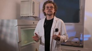 Что такое банк донорской микробиоты и зачем он нужен?