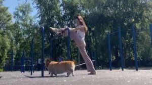 В сквере веселом Руби гуляет, хвостиком виляет, всех забавляет