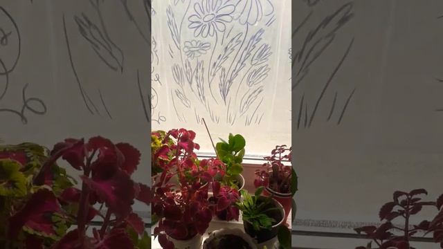 Супер способ затенить окно от солнца, без мыла, без кра смотреть онлайн