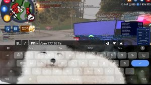 1000053553.mp4