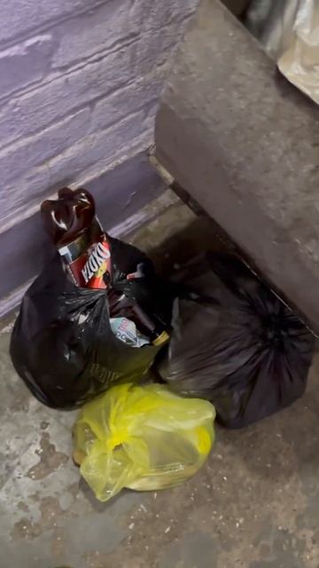 Свиньи с 3 этажа,а потом жалуются,воняет,крысы… смотреть онлайн