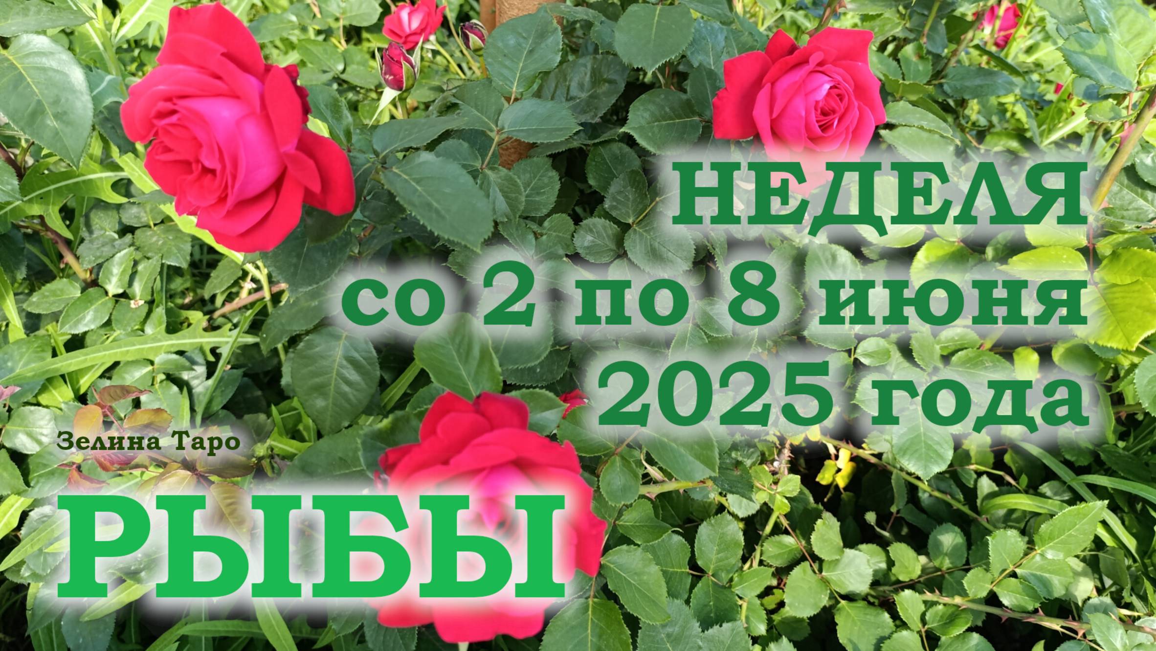 РЫБЫ | ТАРО прогноз на неделю со 2 по 8 июня 2025 года