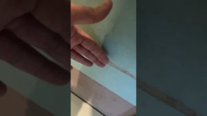 Укладка широкоформатного керамогранита ( Без плинтус?